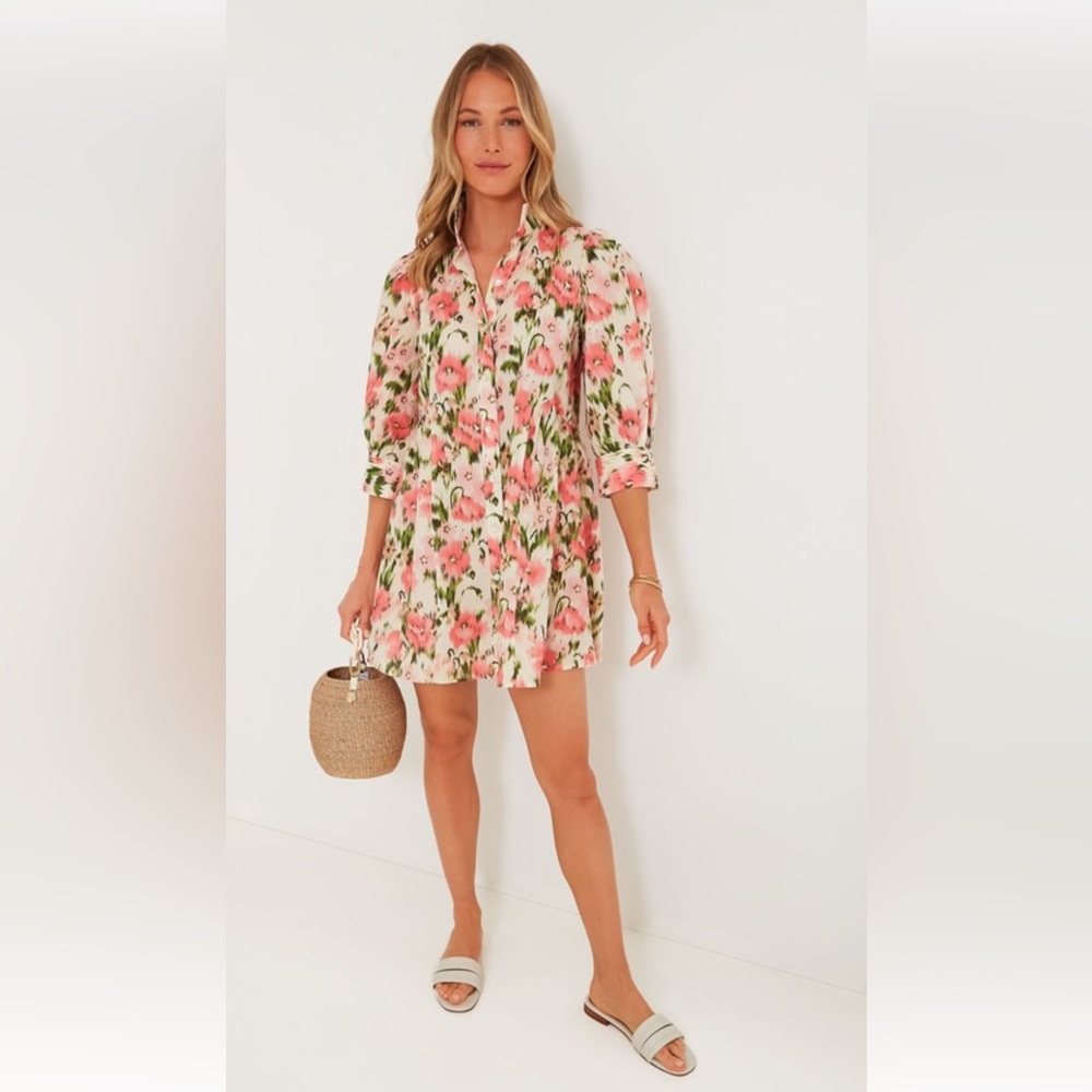 Blush Ikat Blooms Lindsay Dress